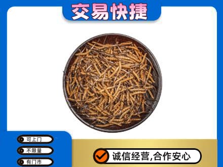 保定满城区高价回收散虫草